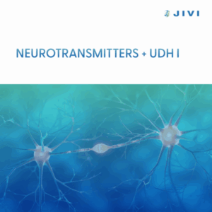 02 Neurotransmitter UDH I 600x600 1