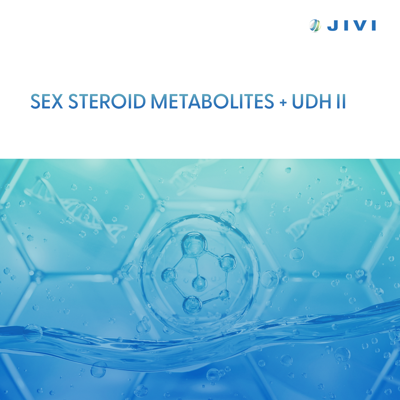 Sex Steroid Metabolites + UDH II 1 Sex Steroid Metabolites + UDH II